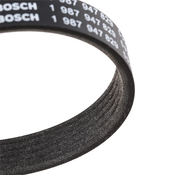 Correa de alternador 1987947829 Bosch