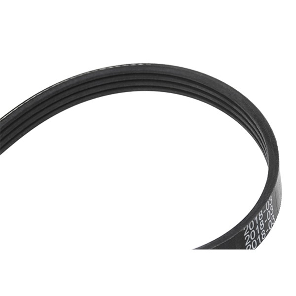 Correa accesorios Bosch 1987947898
