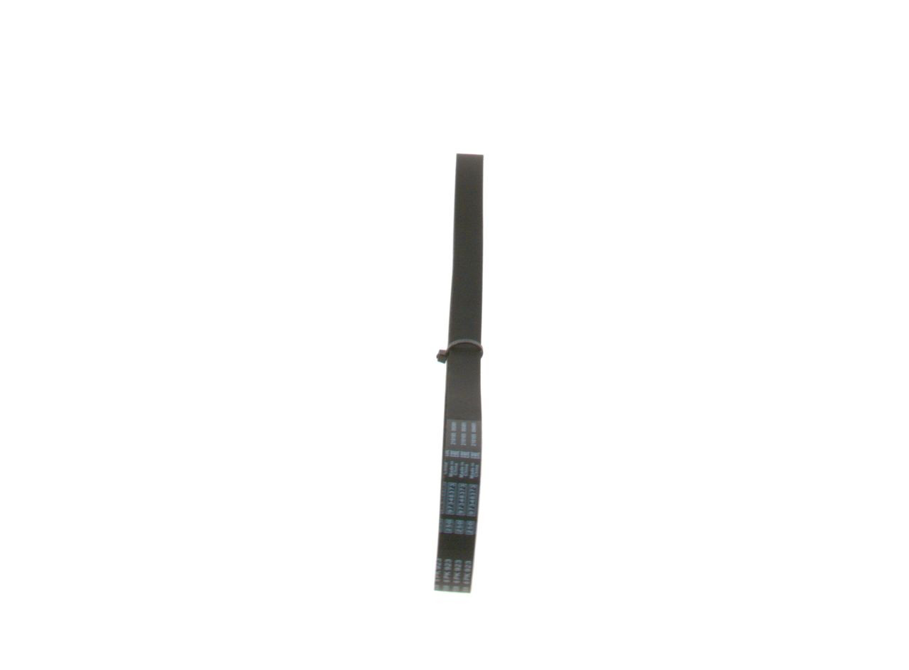 1987947938 Bosch Correa poly v