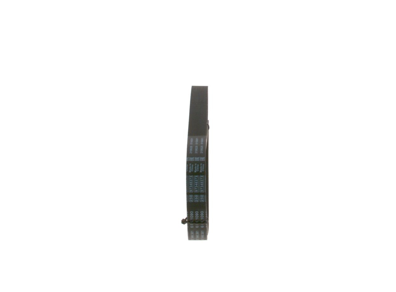 1987948381 Bosch Correa poly v