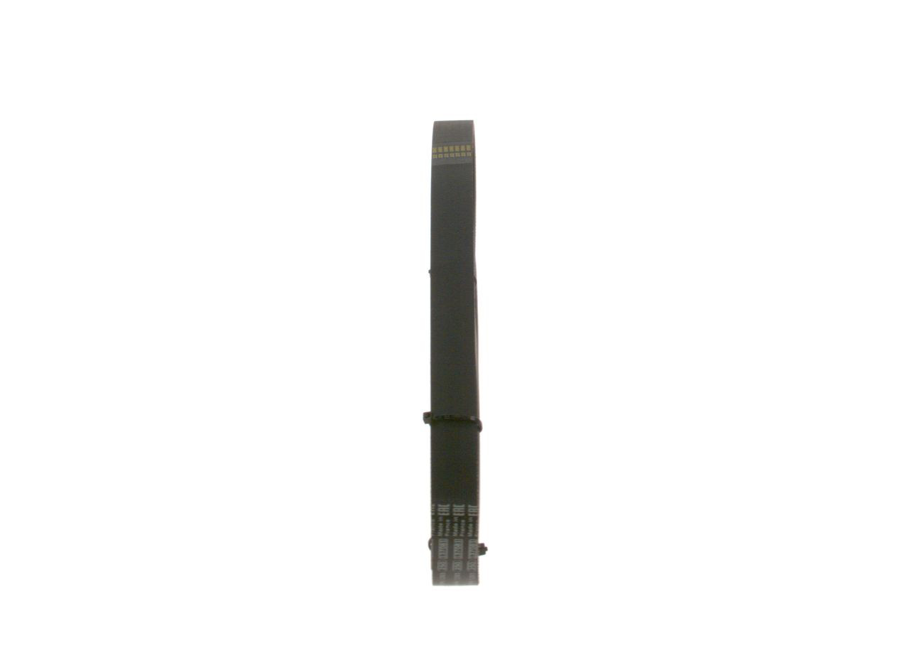 1987948487 Bosch Correa poly v