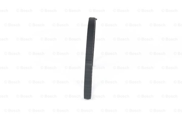 Comprar 1987949005 Bosch Correa distribución
