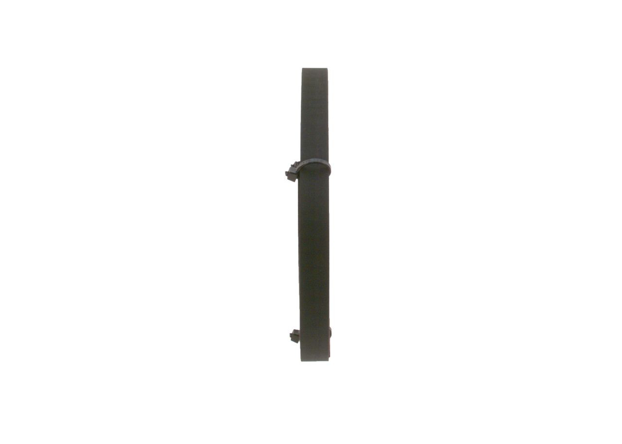 Correa distribución 1987949019 Bosch