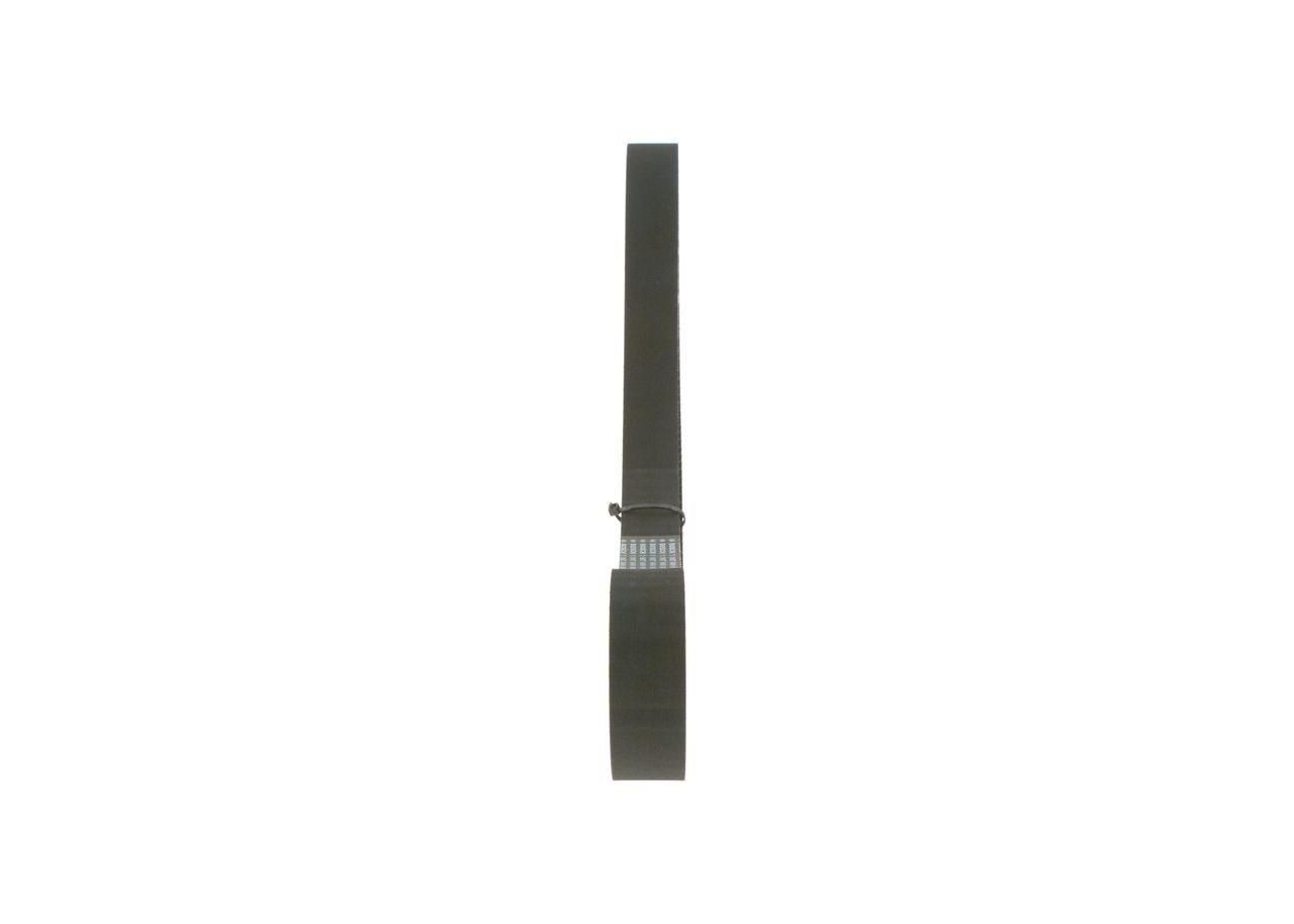 Correa distribución 1987949087 Bosch