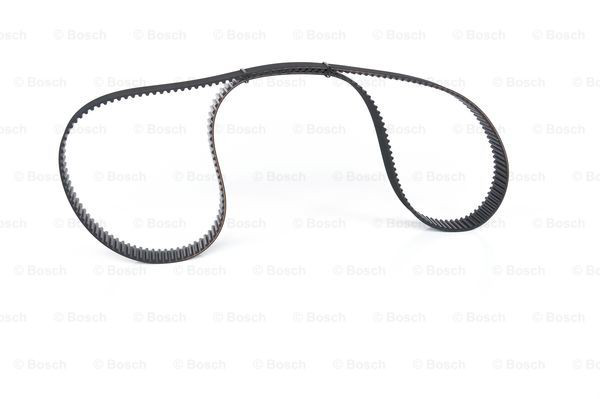 Correa distribución 1987949624 Bosch