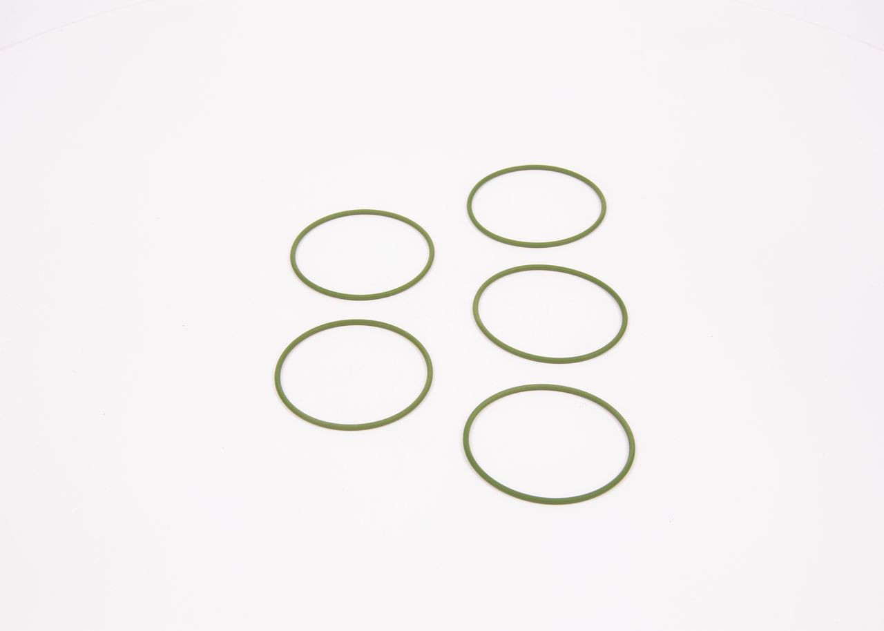  Bosch F01M100048