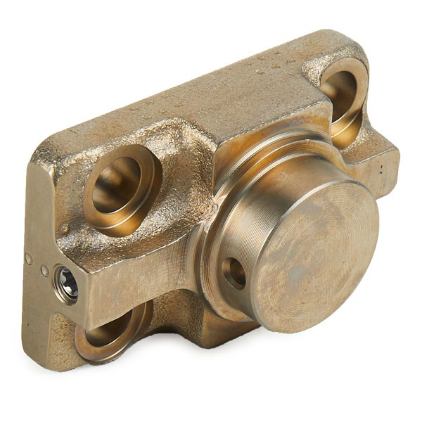 Elemento de émbolo de la bomba de inyección Bosch F01M100869 precio, desde 82,99 EUR