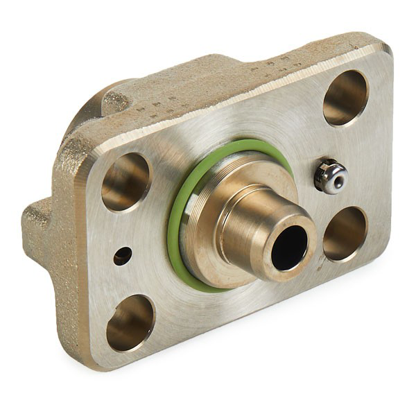 F01M100869 Bosch Elemento de émbolo de la bomba de inyección