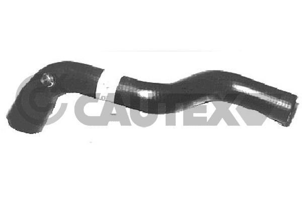 026462 Cautex Manguera superior del radiador