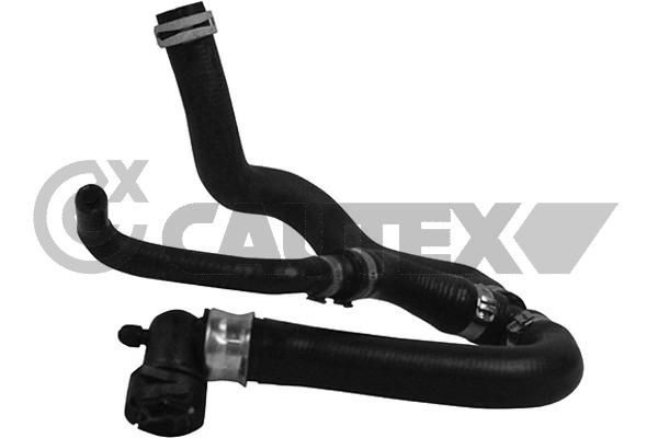 460181 Cautex