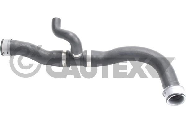 480124 Cautex