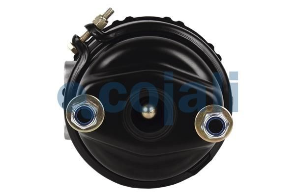 Comprar 81504106935 MAN Cámara de freno con acumulador de energía
