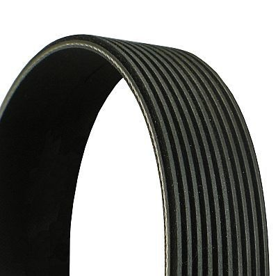 10PK2475 Continental/Siemens Correa poly v