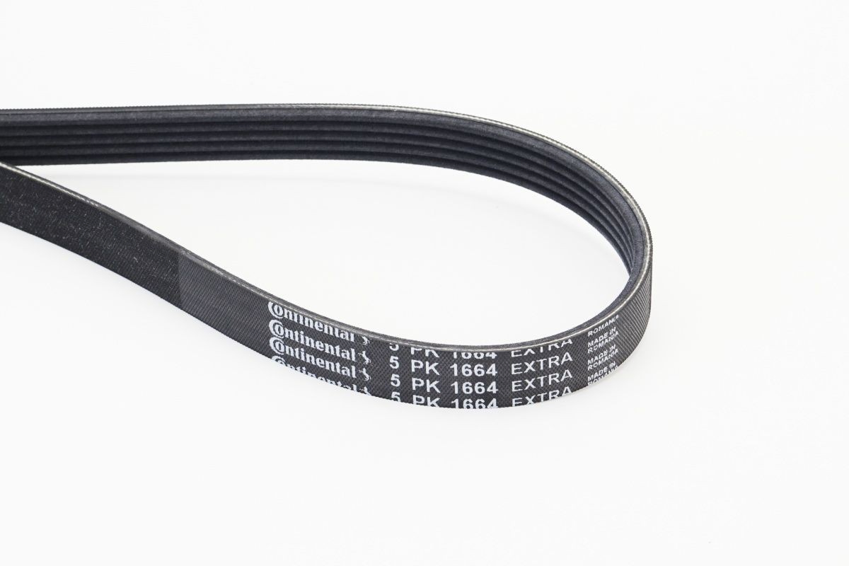 Comprar 55594640 General Motors Correa trapezoidal