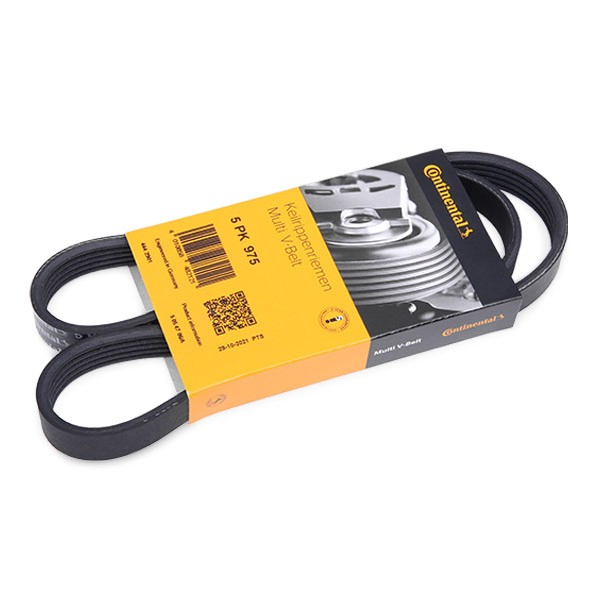 Correa de alternador 5PK975 Continental/Siemens