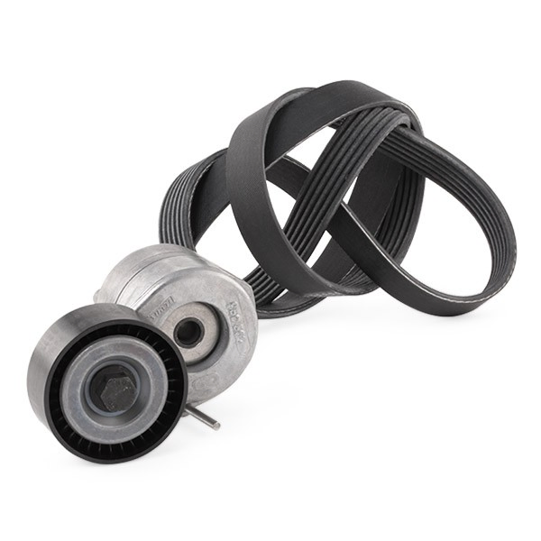 Comprar Correa de transmisión Ignis II FH