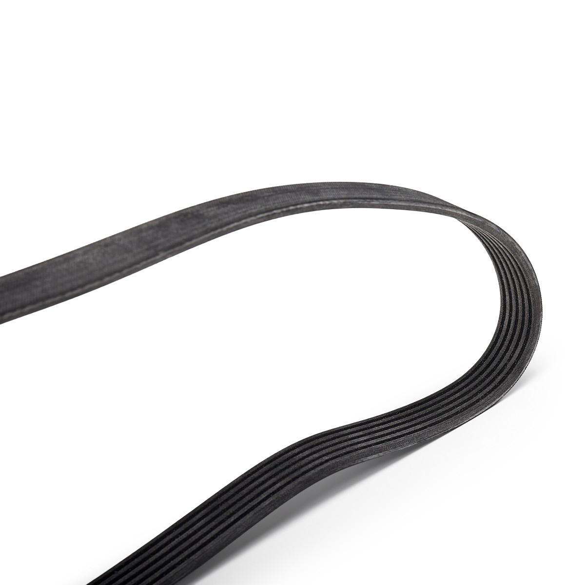 Correa de transmisión, juego Ford Focus III hatchback (CB8) (2010 - 2020) precio, desde 80,54 EUR