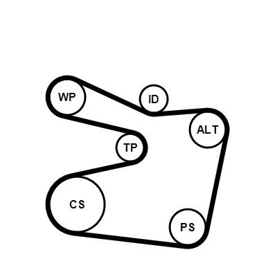 Correa de transmisión, juego BMW 3 sedán (E36) (1990 - 1998) precio, desde 87,49 EUR