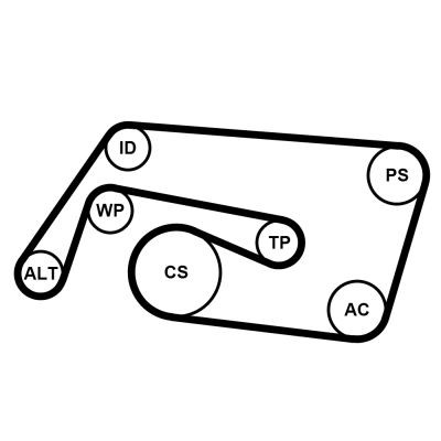 Correa de transmisión, juego Mercedes C  desde 79,54 €