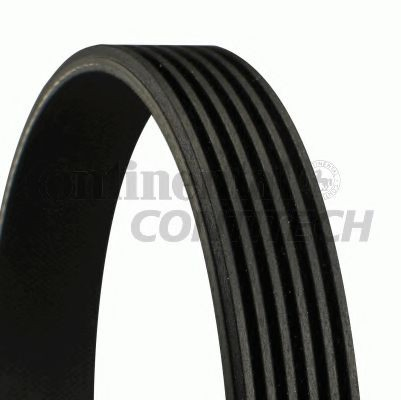 Correa de transmisión trapezoidal Continental/Siemens 6PK2490 precio, desde 16,93 EUR