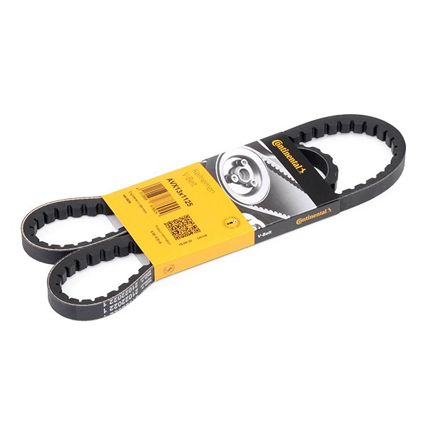 Correa de transmisión trapezoidal Continental/Siemens AVX13X1125 precio, desde 6,55 EUR