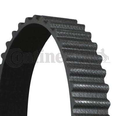Correa de distribución Continental/Siemens CT1050 precio, desde 33,38 EUR