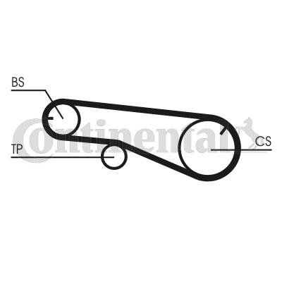 Correa del eje de equilibrado Continental/Siemens CT1109 precio, desde 9,03 EUR