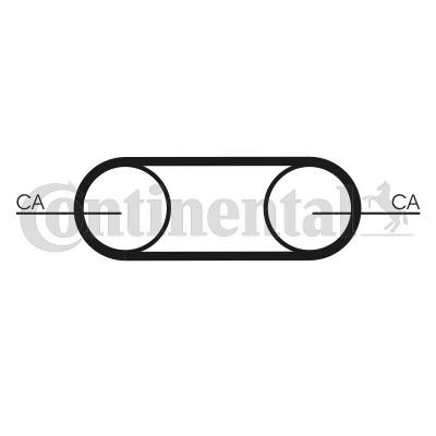 CT1112 Continental/Siemens Correa dentada