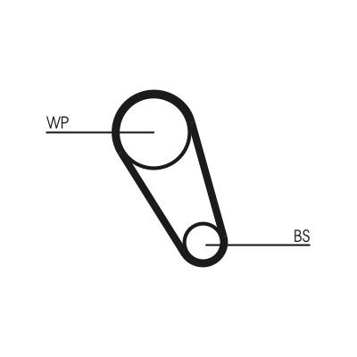 Correa poly v para Audi A4 Avant B9 8W5, 8WD