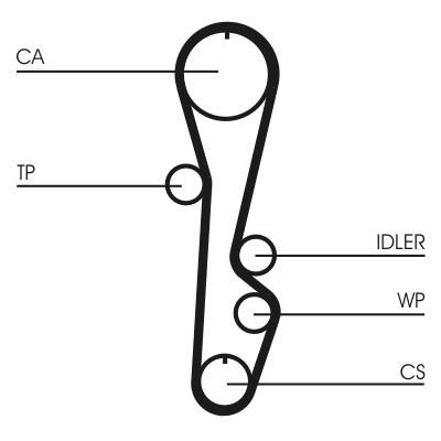 Correa distribución ADM57501 Blue Print