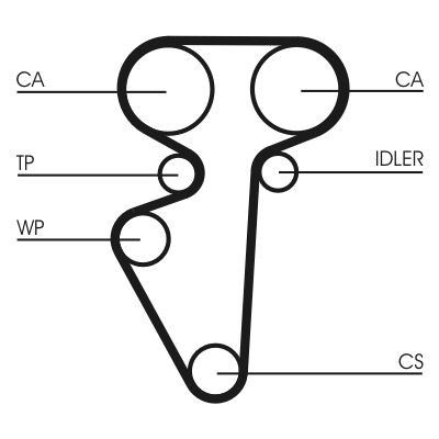 Comprar CT996 Continental/Siemens Correa distribución