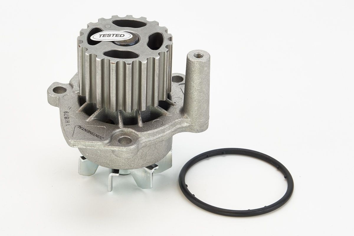 Bombeadora de agua Continental/Siemens WP6001 precio, desde 24,93 EUR
