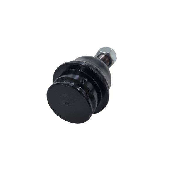 Rótula inferior de suspensión CTR CB0408 precio, desde 25,17 EUR