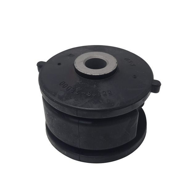 Buje del brazo longitudinal trasero GV0077 CTR