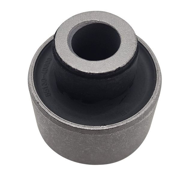 Buje de mangueta trasera GV0097 CTR