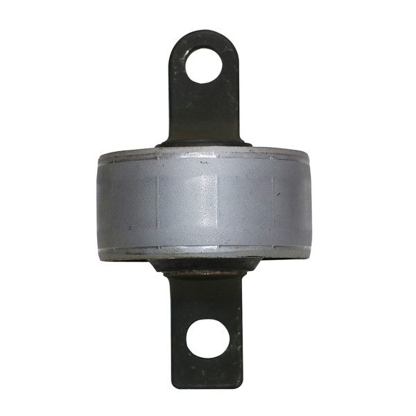 Buje del brazo longitudinal trasero GV0298 CTR