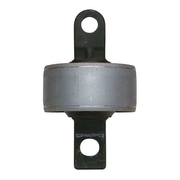 Buje del brazo longitudinal trasero CTR GV0299