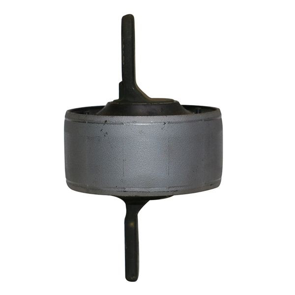 GV0299 CTR Buje del brazo longitudinal trasero