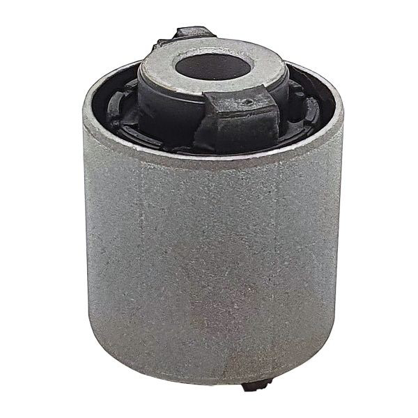 Buje de mangueta trasera GV0535 CTR