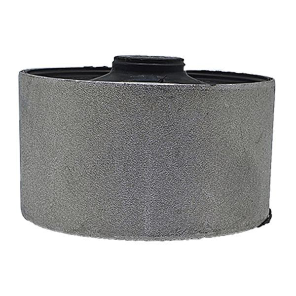 GV0543 CTR Silentblock del puente trasero