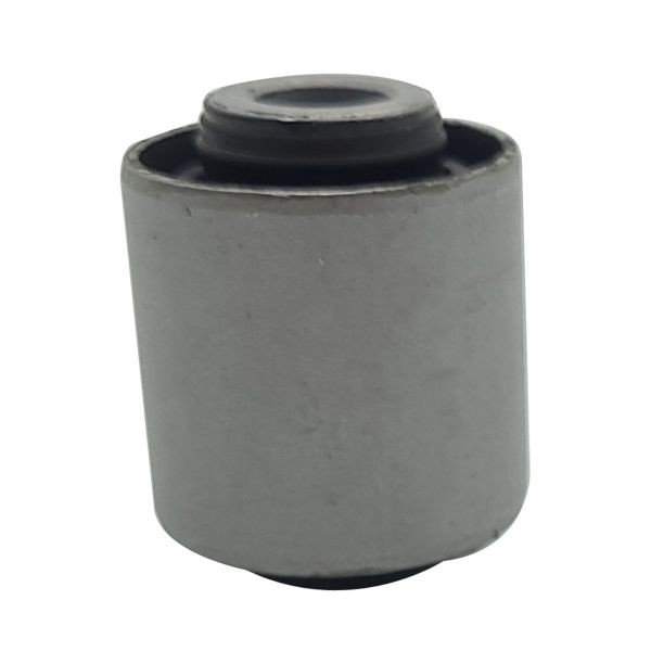 Buje del brazo inferior trasero CTR GV0552