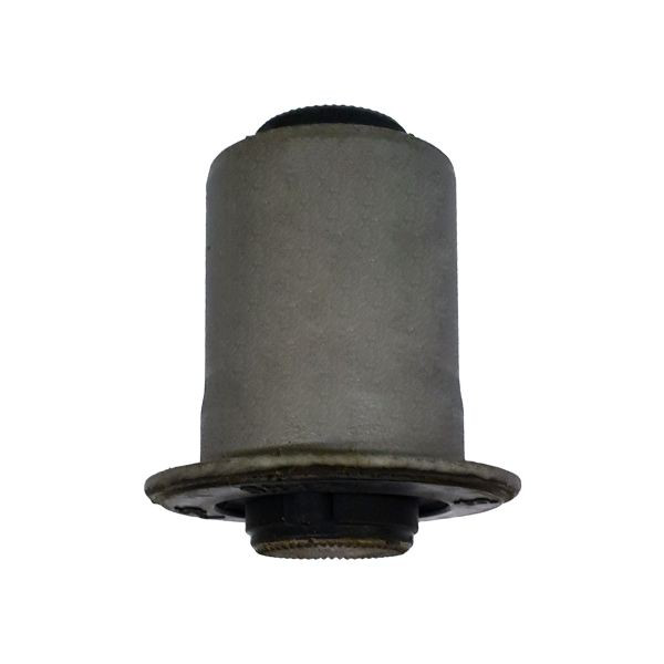 Buje del brazo inferior trasero GV0555 CTR