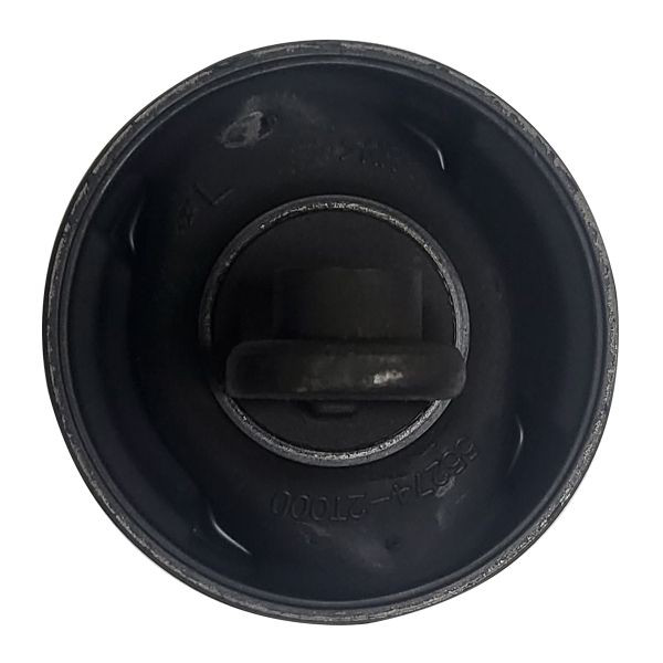 Buje del brazo longitudinal inferior trasero GV0652 CTR