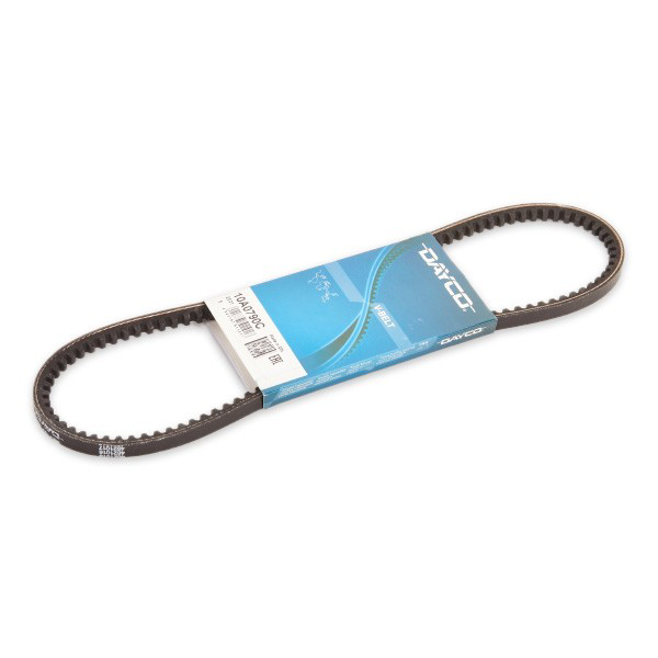 10A0790C Dayco Correa poly v