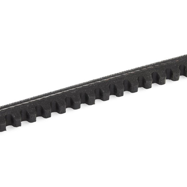 10A0935C Dayco