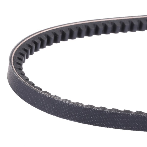 11A0950C Dayco