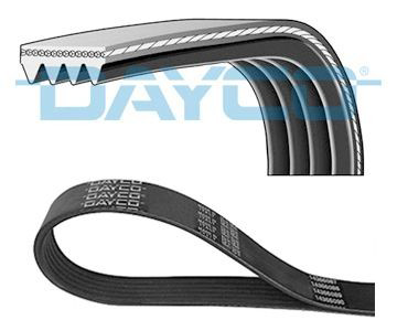 4PK563 Dayco Correa poly v