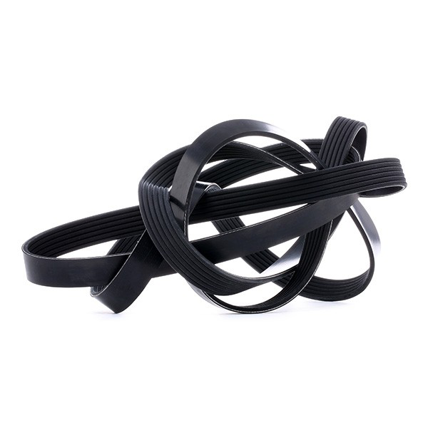 Correa de transmisión trapezoidal Dayco 6PK2870 precio, desde 53,15 EUR
