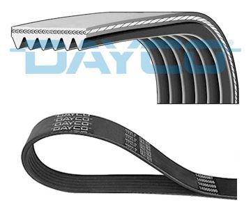 6PK885 Dayco Correa poly v