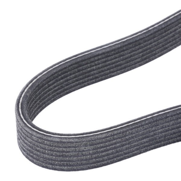 7DPK2074 Dayco Correa poly v